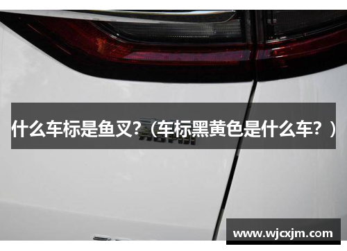 什么车标是鱼叉？(车标黑黄色是什么车？)