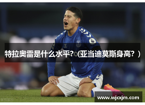 特拉奥雷是什么水平?(亚当迪莫斯身高?)